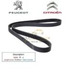 COURROIE 6PK1705 PEUGEOT-5750VQ