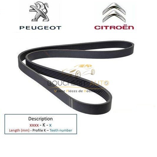 239_poly_v_hutchinson-1-Copie-2 COURROIE 6PK1705 PEUGEOT-5750VQ – Image 1